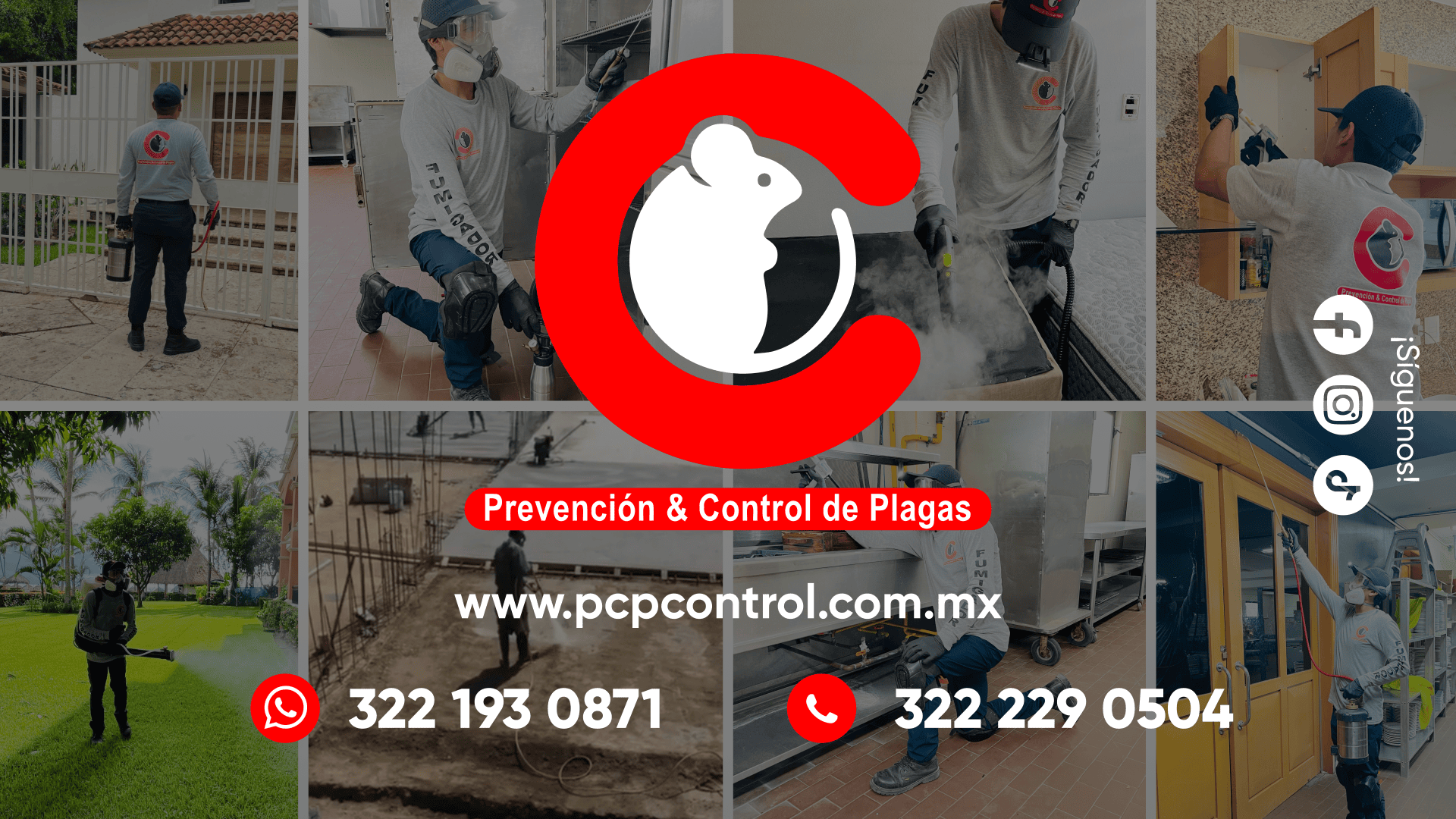 PCP Control y prevención de plagas